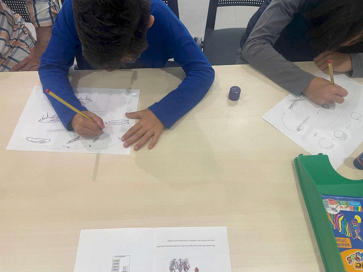 Educación Dos Hermanas tweet media