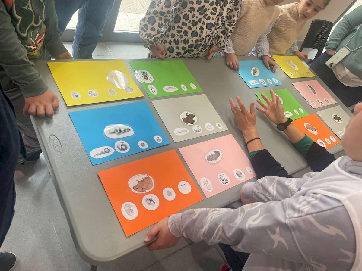 Educación Dos Hermanas tweet media