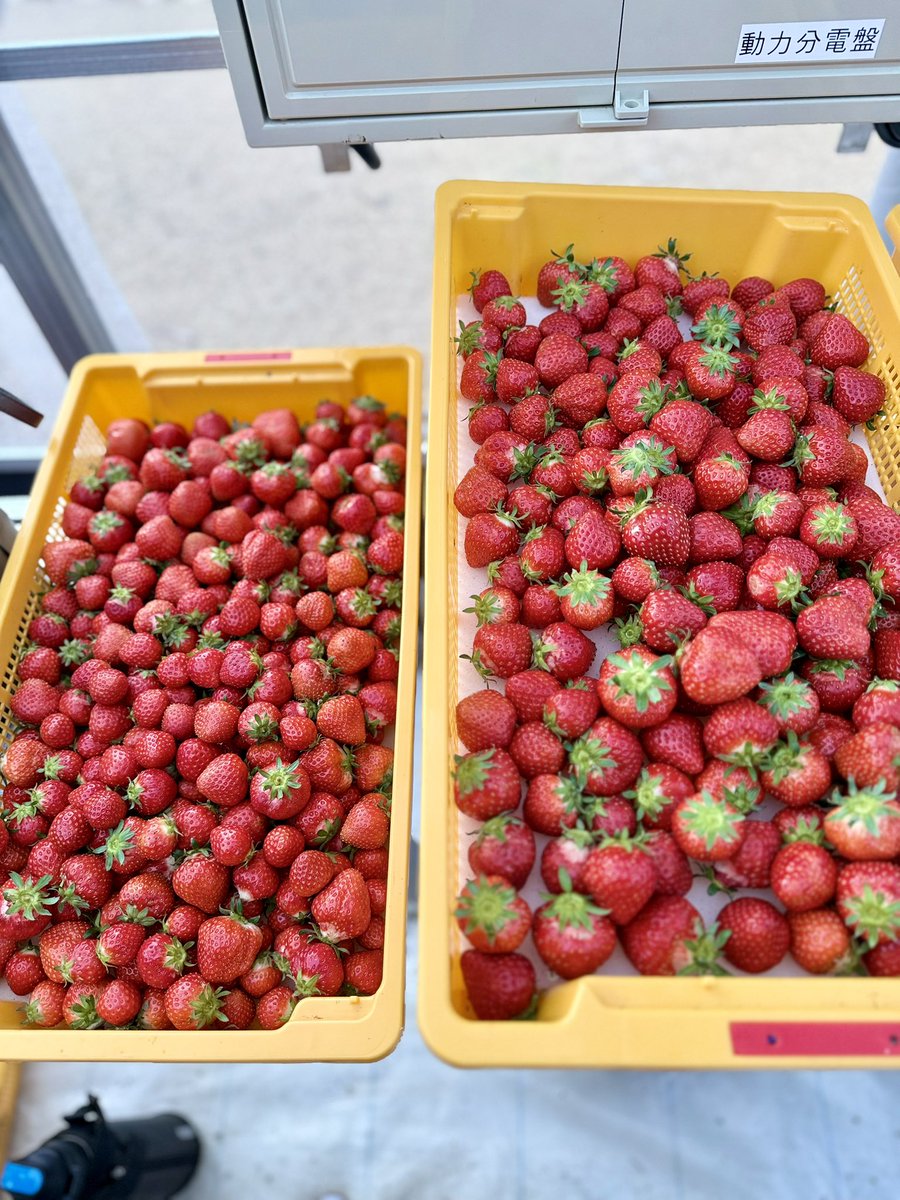 和弥✨韋駄天會✝︎高松乃風🇯🇵 tweet media