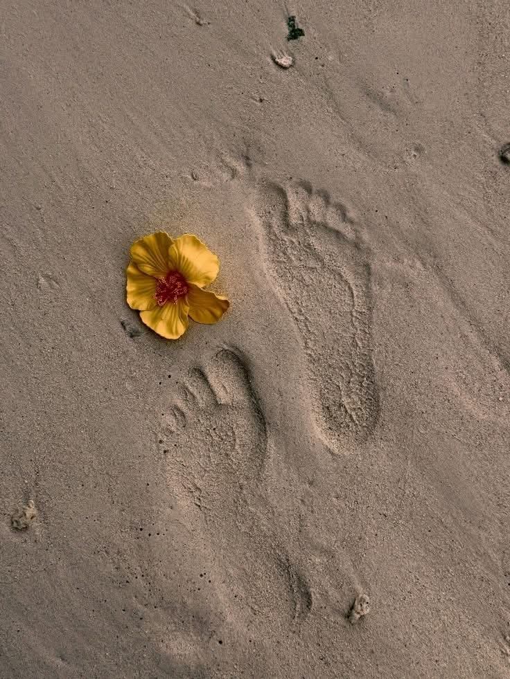 Ruhiii 🇮🇳 tweet media