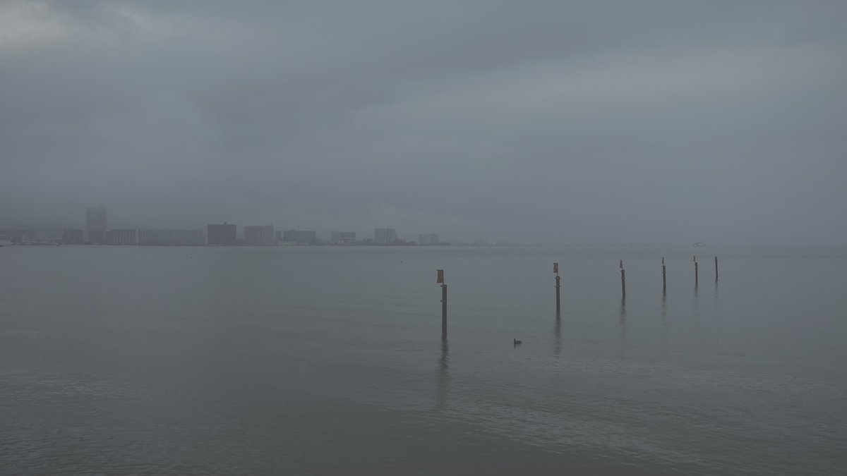 𝙢𝙞𝙞 tweet media