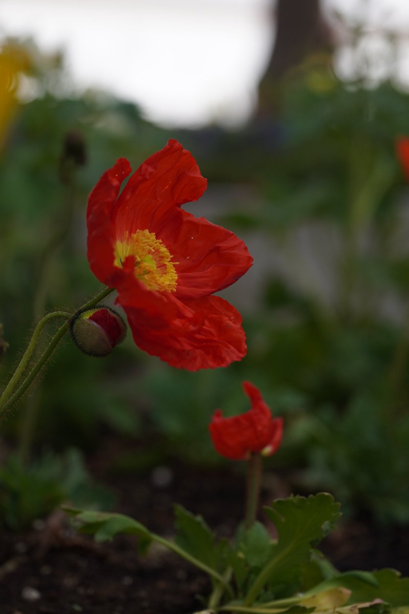 jerritama🐈🐟🐈 (@jerritama) on Twitter photo 