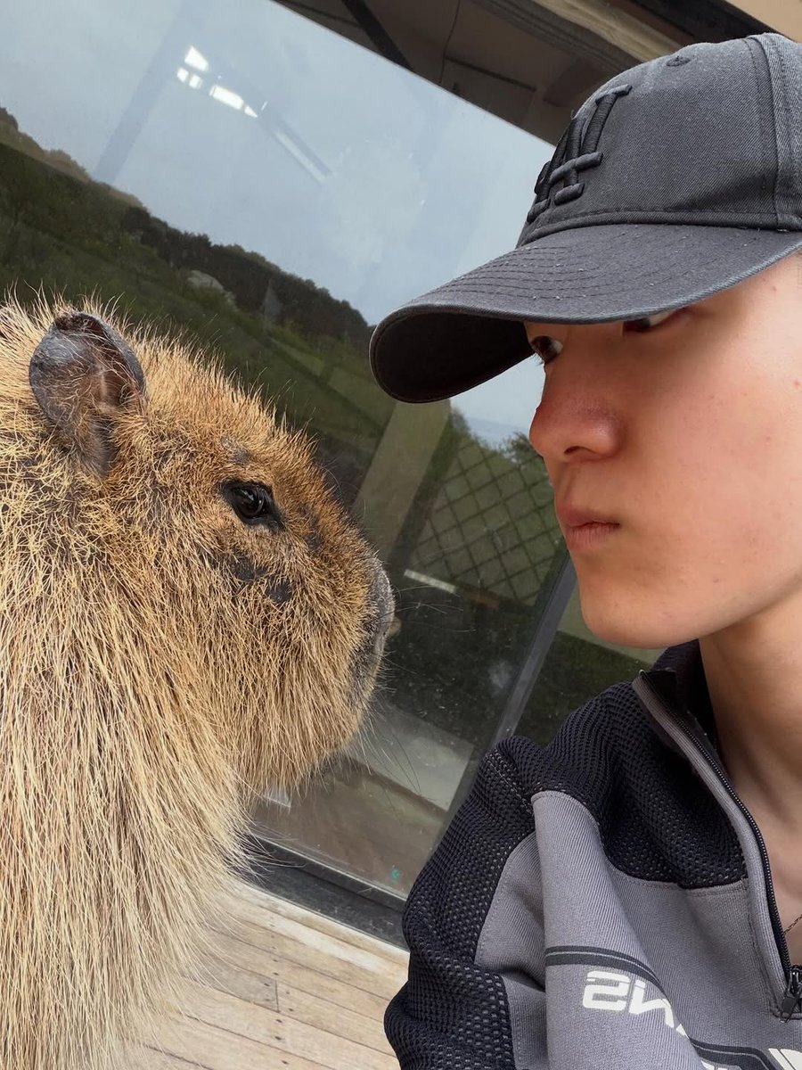 킁. 킁 tweet media