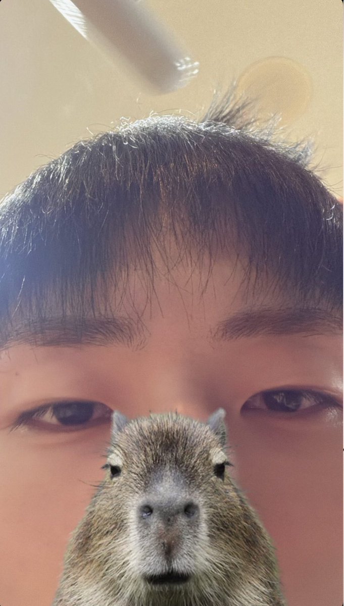 킁. 킁 tweet media