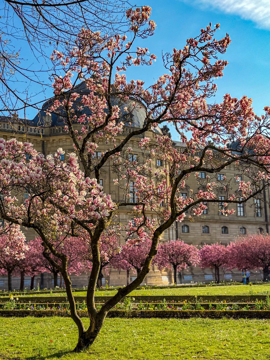 ドイツ発🇩🇪街歩きガイドKeiko tweet media