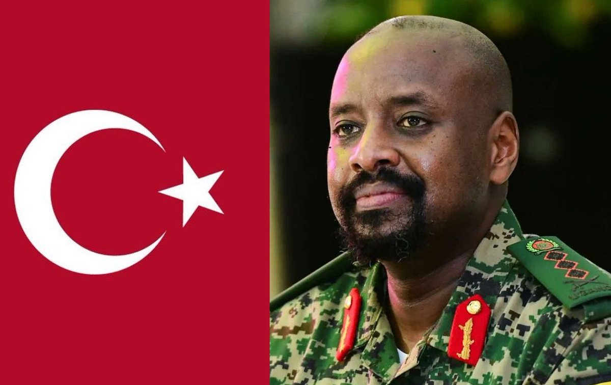 𝐌𝐞𝐡𝐦𝐞𝐝 tweet media