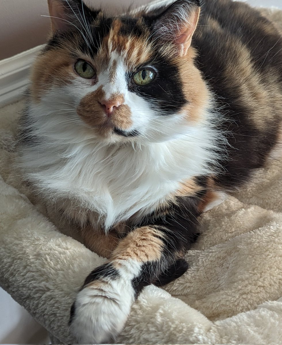 Gabriel Blake - Writer 📚 tweet media