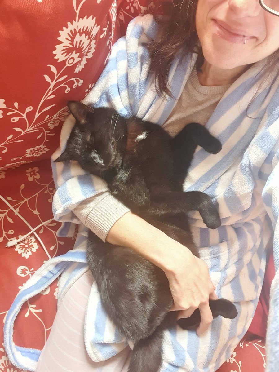 Schmusepuppe🏳️‍🌈 tweet media