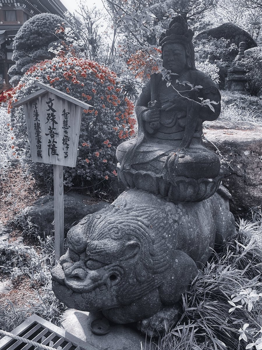 色神秀記(狛犬・神社・絵画・焼き絵) tweet media