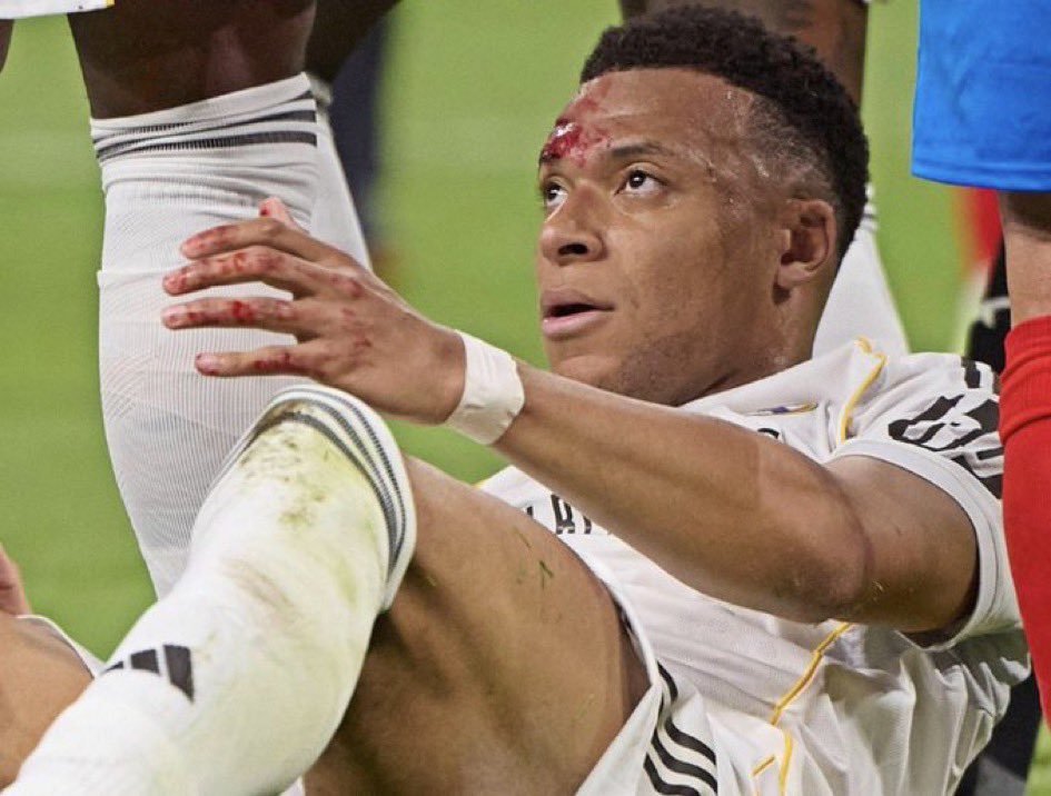 Tramitator tweet media