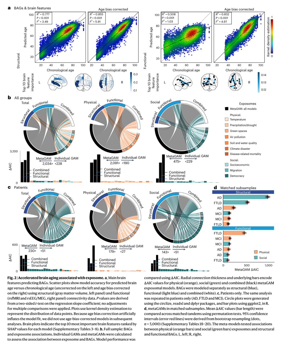 Psikobilim_'s tweet image. Sadece genetiğiniz değil, yaşadığınız ülke de beyninizi yaşlandırıyor:
Eşitsizlik ve hak mahrumiyeti beyindeki bağlantıların zayıflamasıyla; hava kirliliği ve betonlaşma ise beyin yapısının yıpranmasıyla ilişkili.