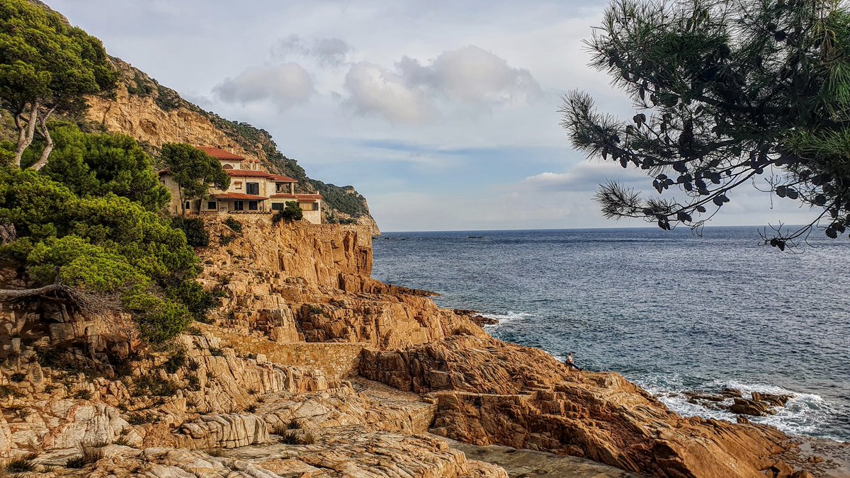 bardenasireales tweet media