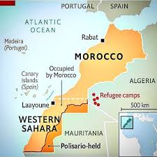 Sturges Opinie © tweet media