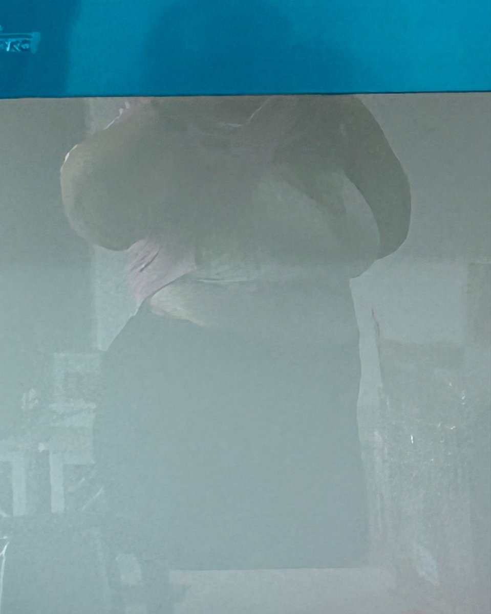 peaceandlove tweet media