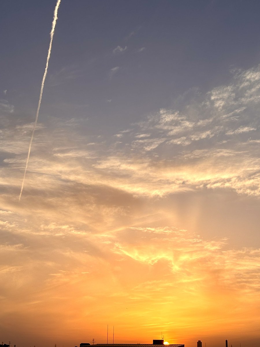 蓬莱大介 tweet media