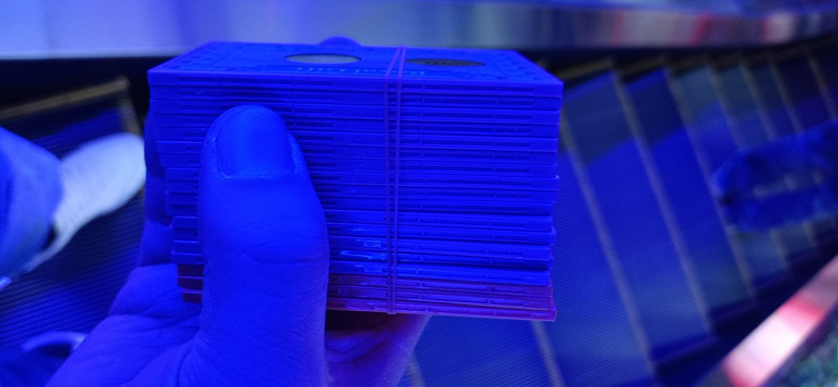 コロコロさん tweet media