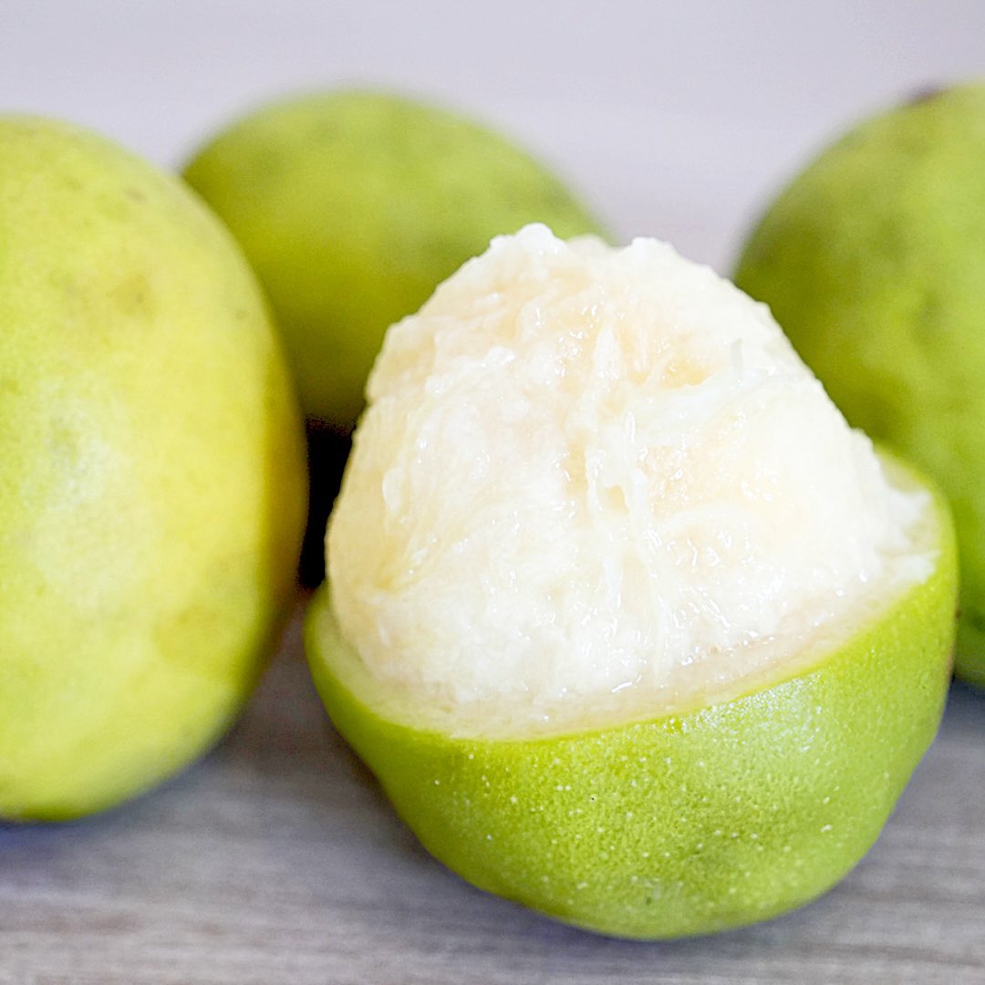 Yuki Kanie 🌿 蟹江侑生 tweet media