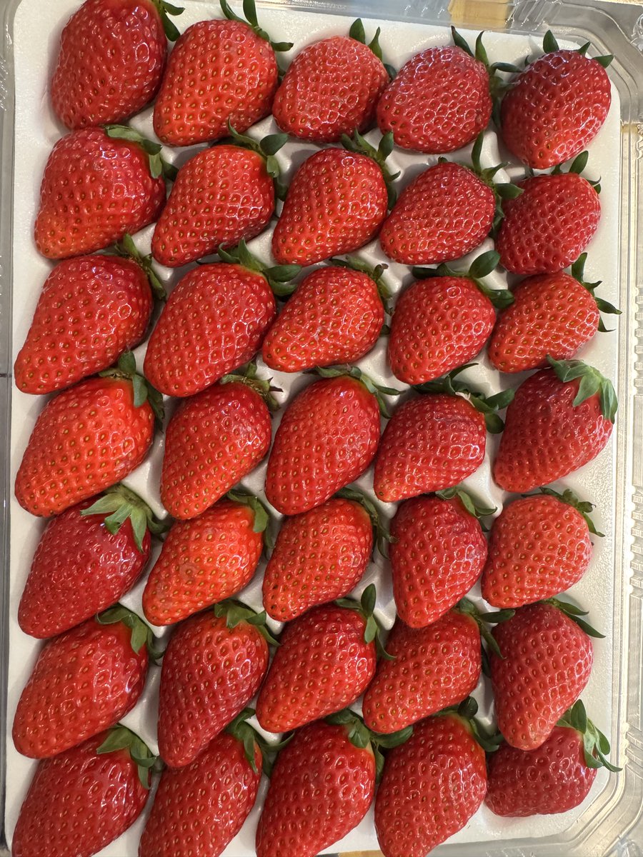 A_Fff_b's tweet photo. 딸기 딸기🍓
신품종 골드베리 사봤는데 비타베리보다 달고 마이쭈 향 나고 너무 맛있다,,,
데코는 제일 좋은 금실로 올려줘야 해~
케이크 만드는거 넘 재밌음🥰 https://t.co/Vclpg9Fjq9