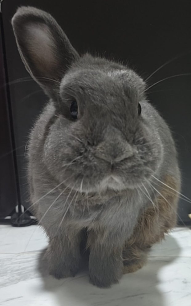 Curse鬼 tweet media