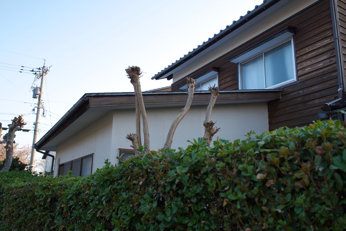 moeki000's tweet image. #punctumpc