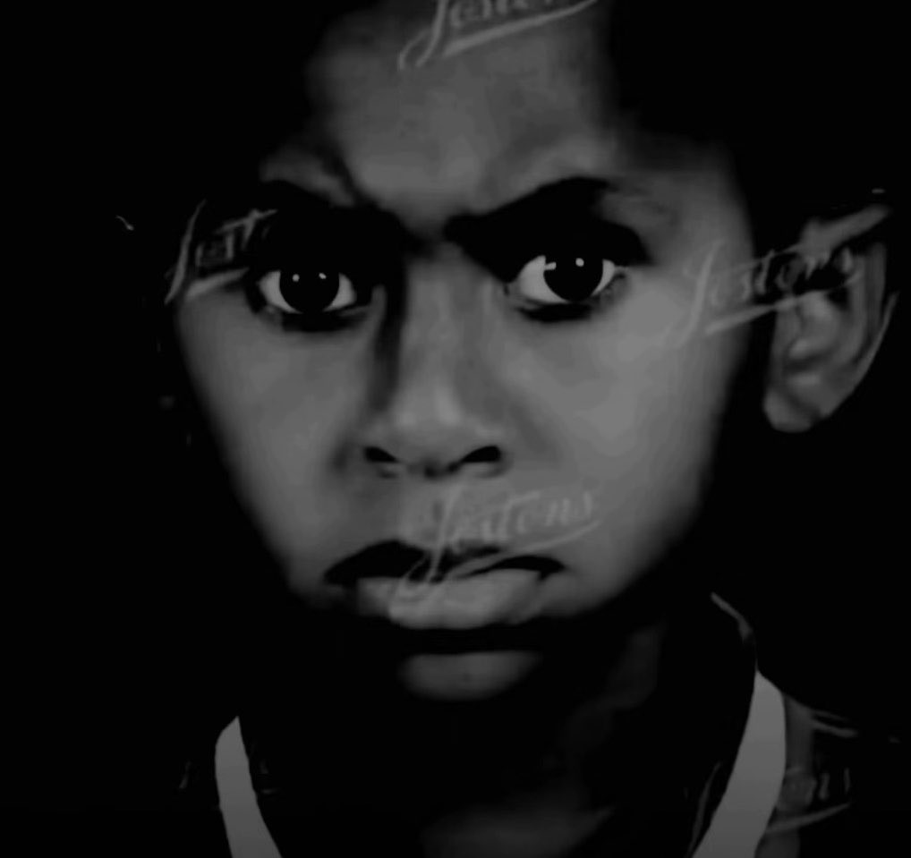 Tomato 🥬 tweet media