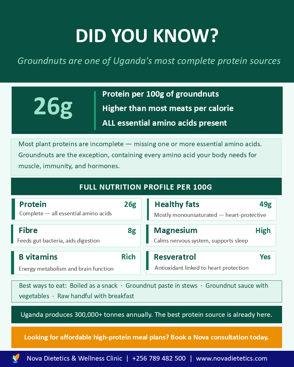 NovaDietetics's tweet photo. Did you know? Groundnuts are a complete protein -- containing ALL essential amino acids.
100g = 26g protein. Higher than most meats per calorie.
Plus 49g healthy fats + 8g fibre + magnesium + resveratrol.
Uganda grows 300,000+ tonnes annually.
🥜 #Groundnuts #PlantProtein https://t.co/XgqCekubHp