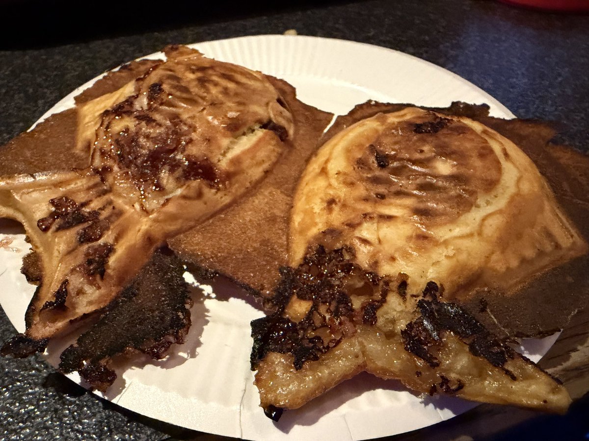 たい焼きを作りたかった…