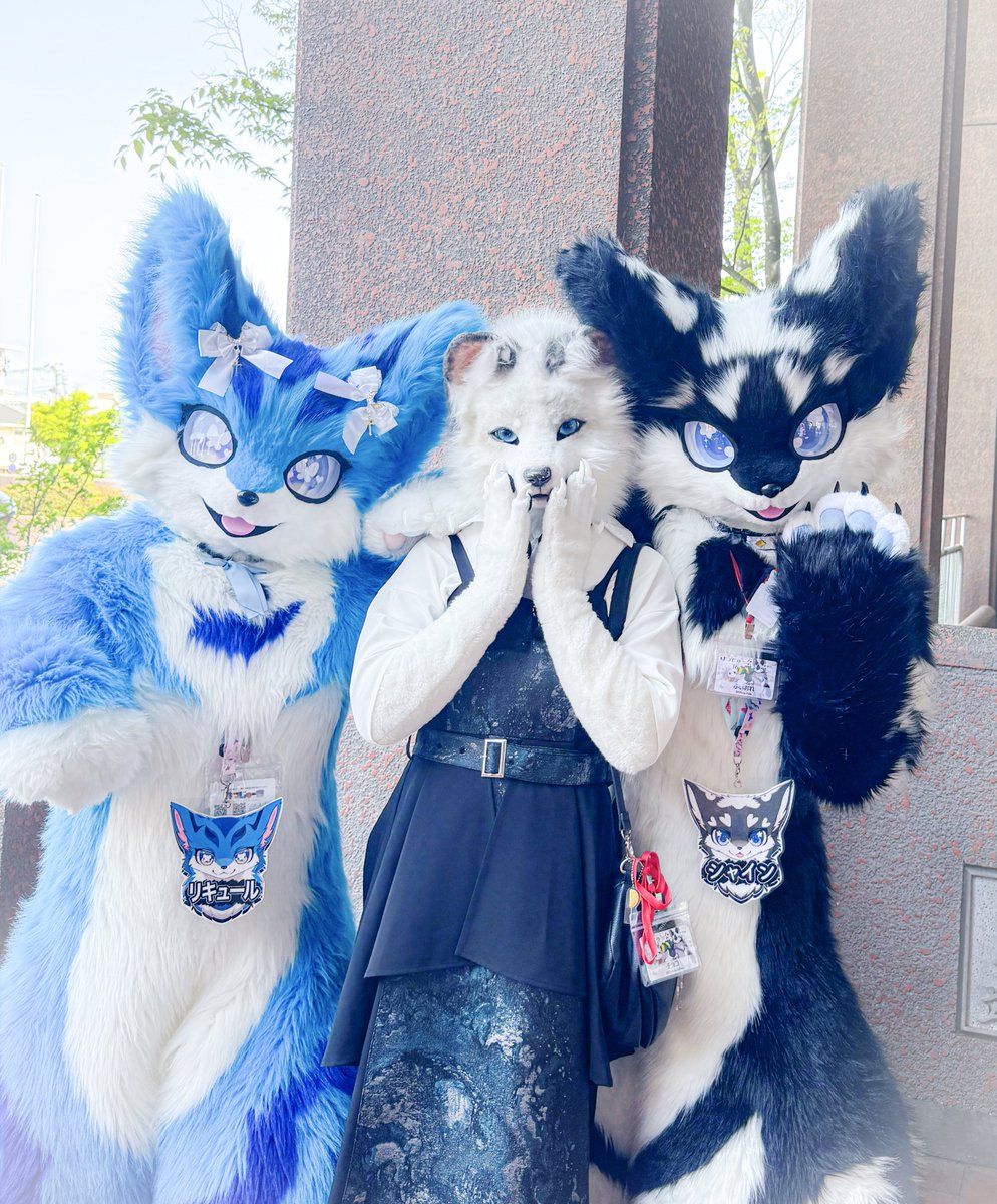 チョコ(Choc)⚡️ tweet media