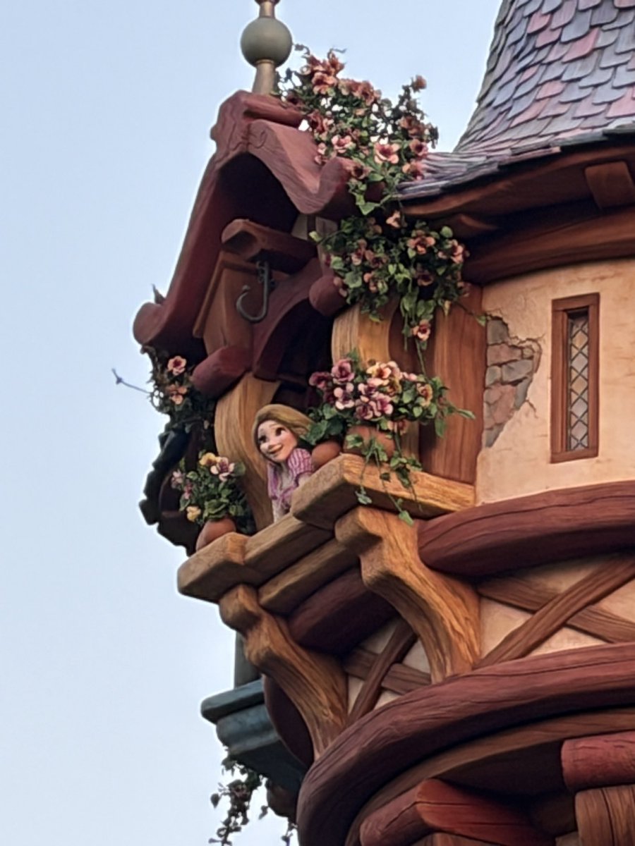 トマト77 tweet media