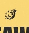 👀