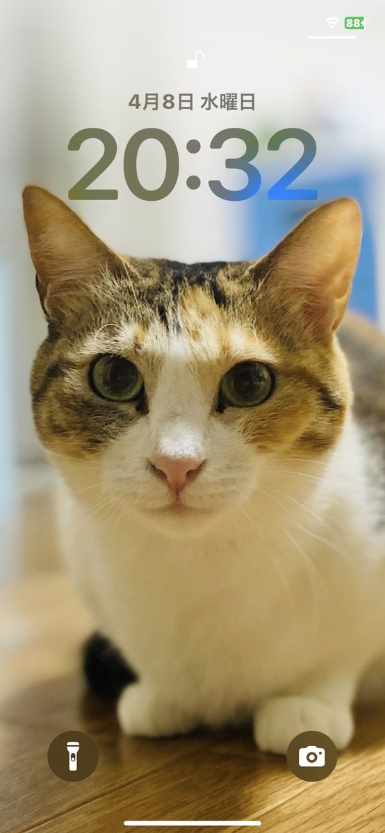 マチュカ・バー tweet media