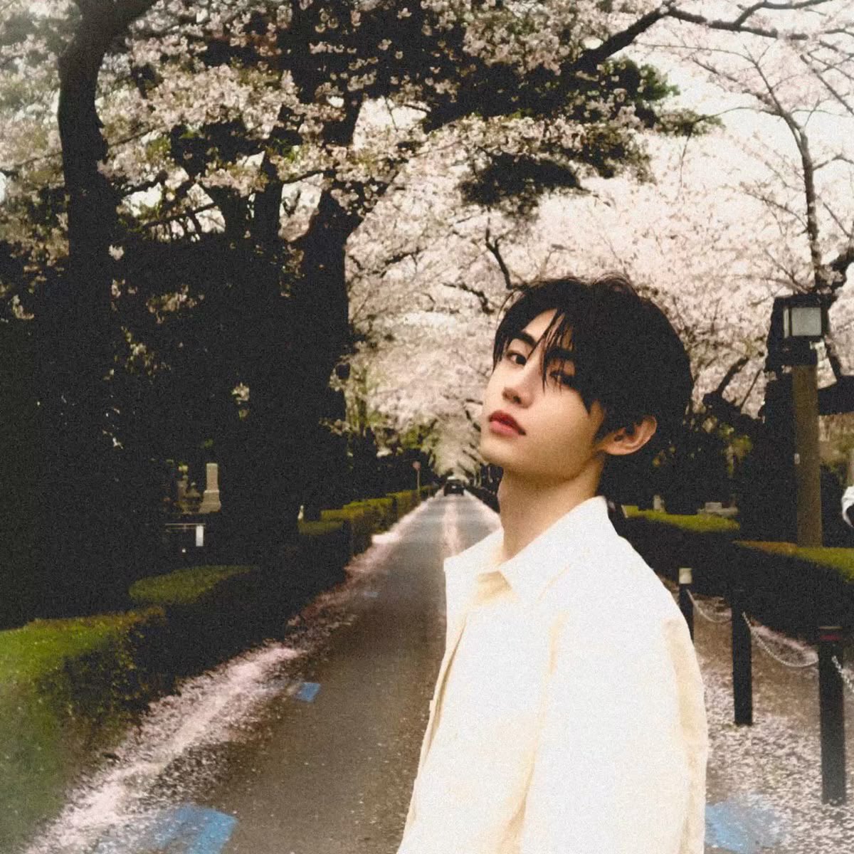 Somi | ENHYPEN IS 7 tweet media