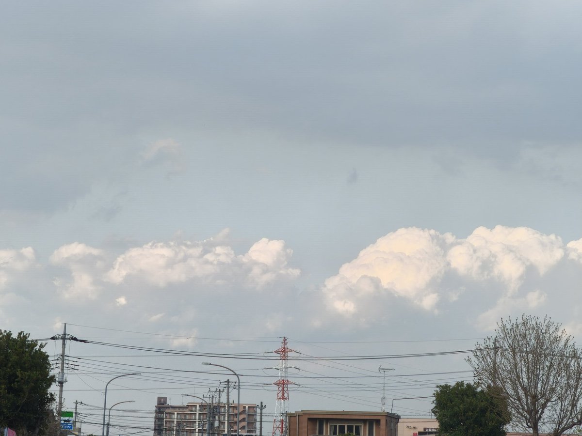 エース / Ace△camp tweet media