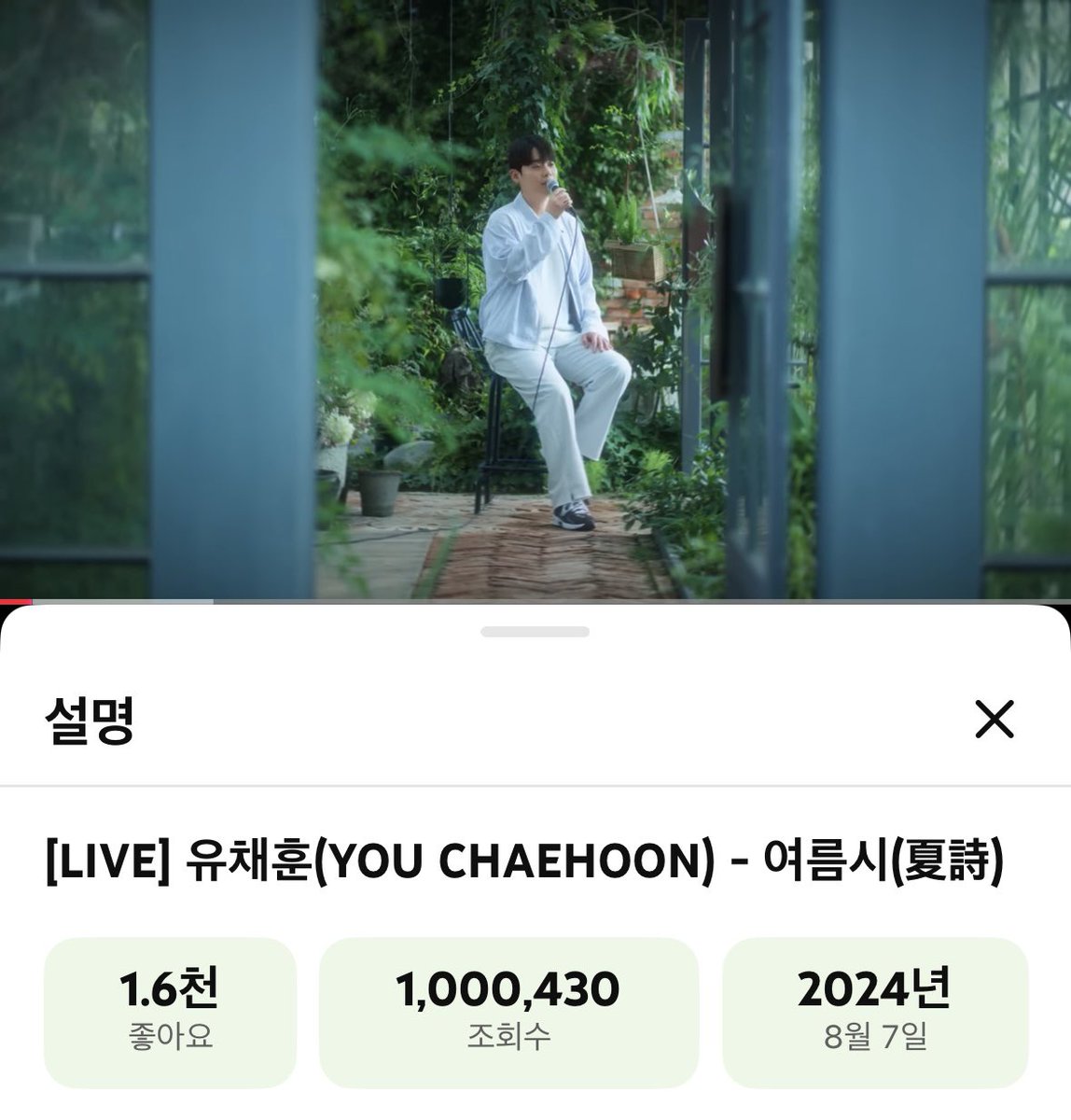 여름시 100만🐰💕