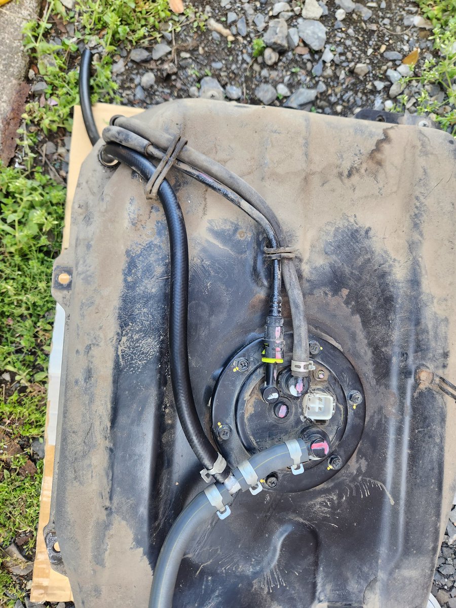 ぴんきゃろ tweet media