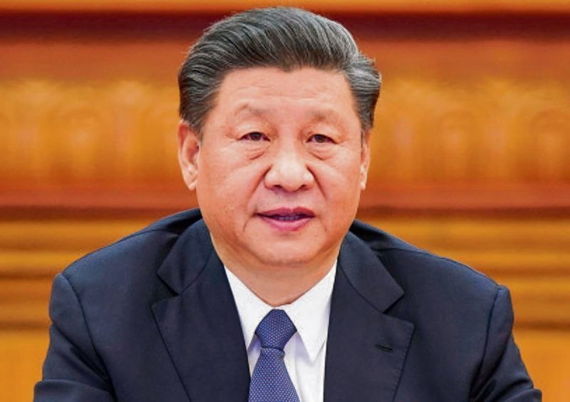 CryptoGoos tweet media