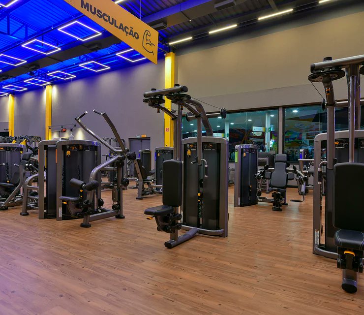 Frankito, o Curioso® tweet media