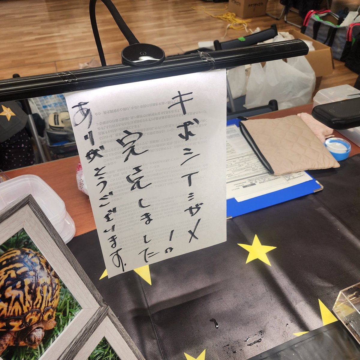 キボシ帝国 spottedturtle⭐empire tweet media