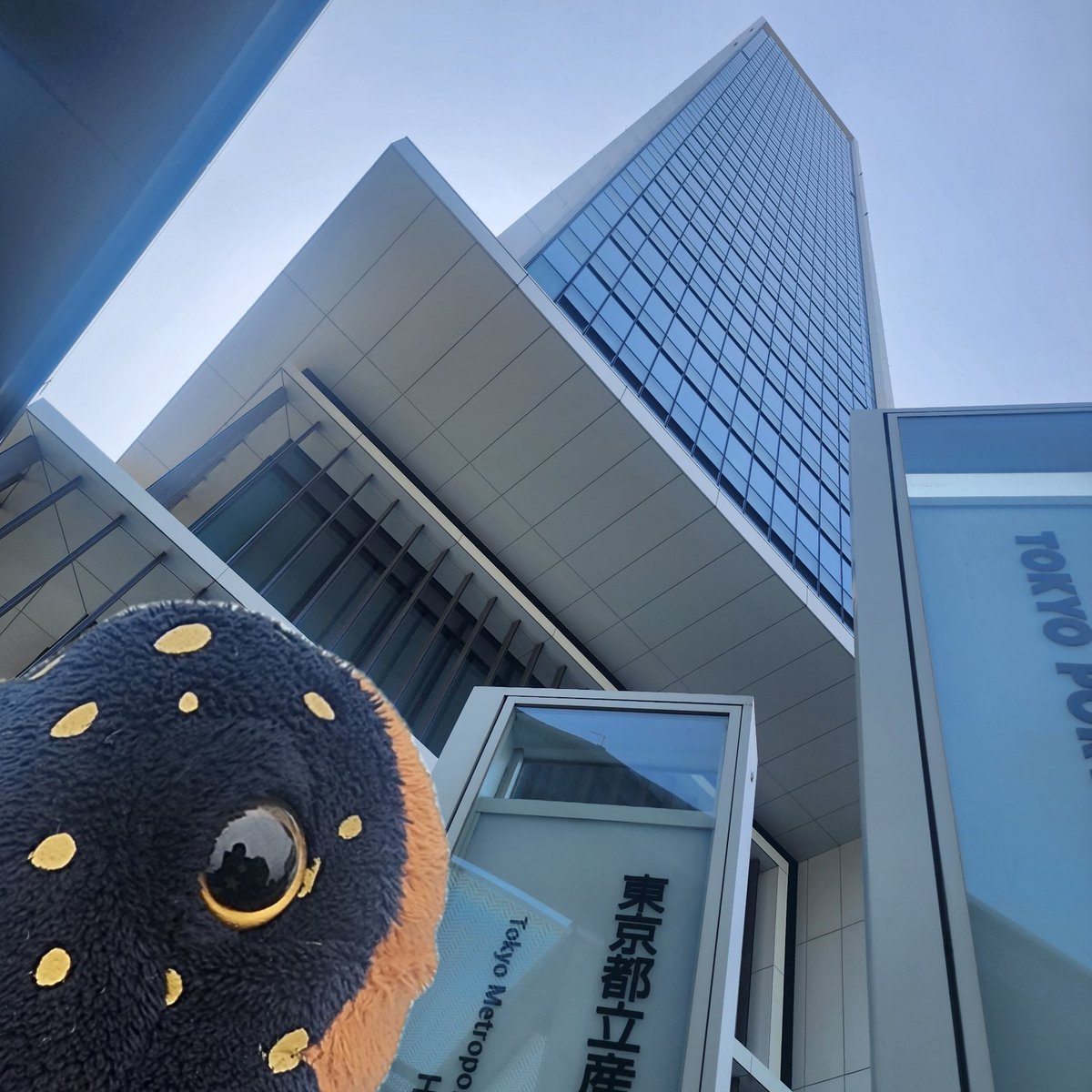 キボシ帝国 spottedturtle⭐empire tweet media