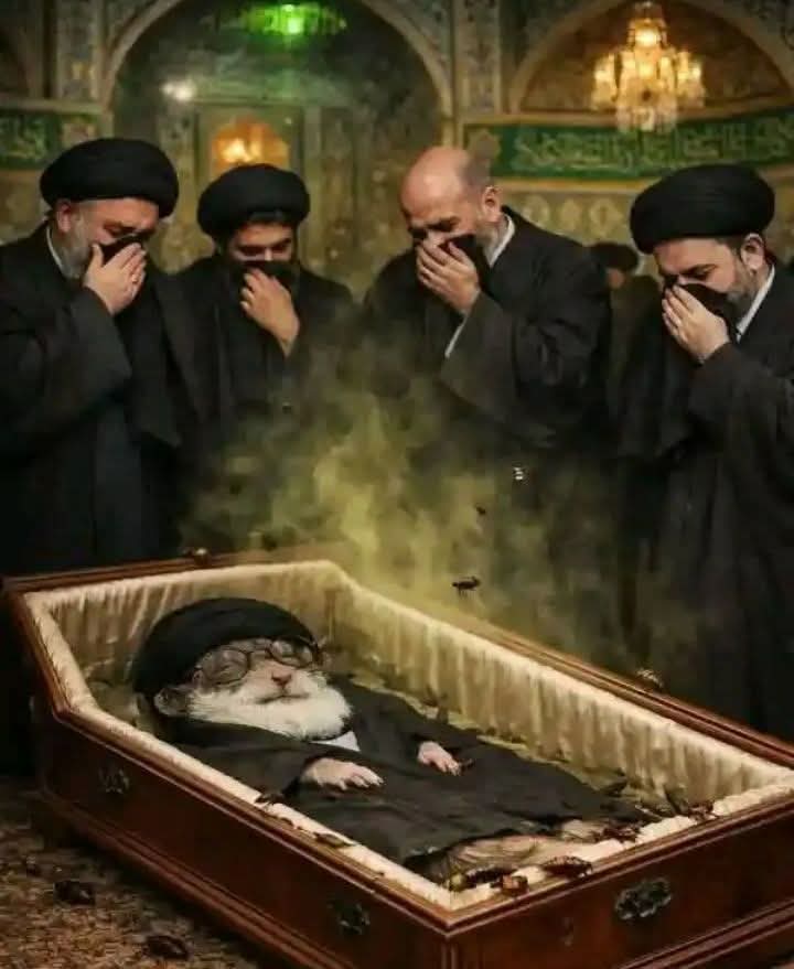 أ. سعاد الحمود tweet media