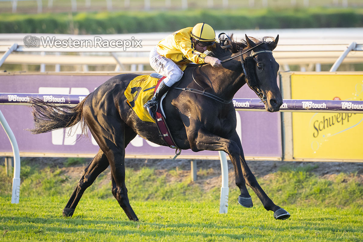 Western Racepix tweet media