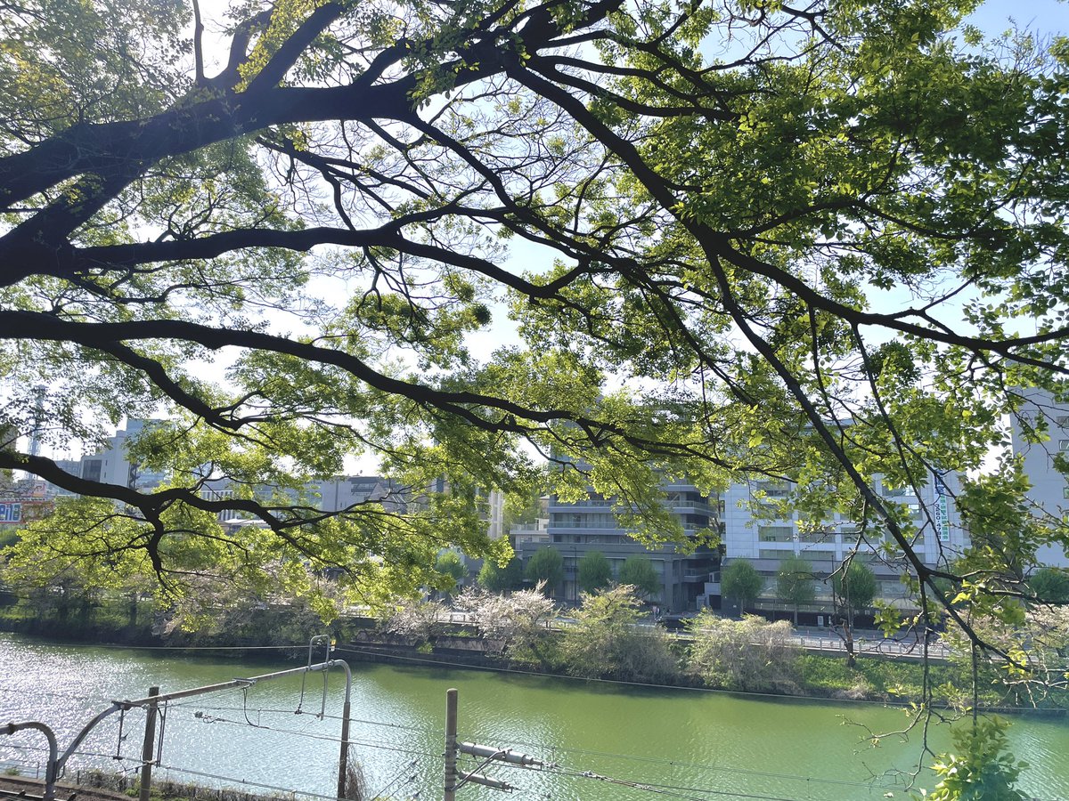 七薙/佐々木元@Nitroplus tweet media