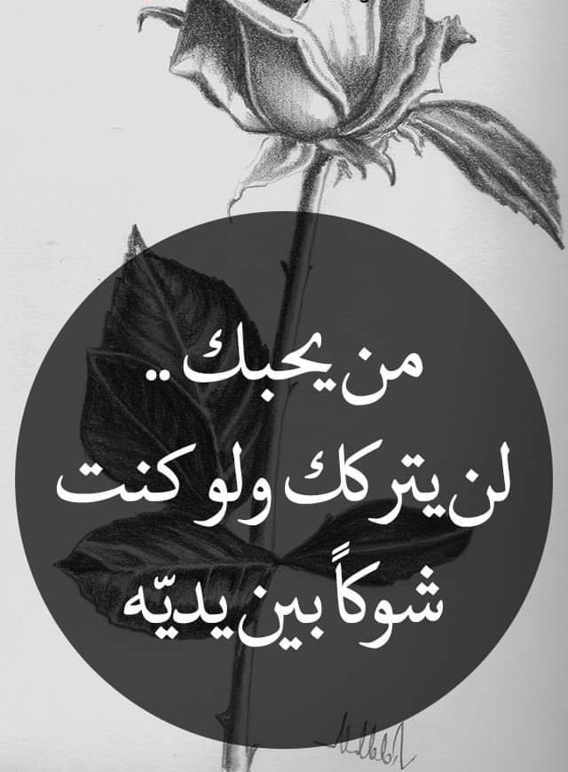 9lbbb's tweet photo. فعلا🩶:: https://t.co/lo7OpF7eOx