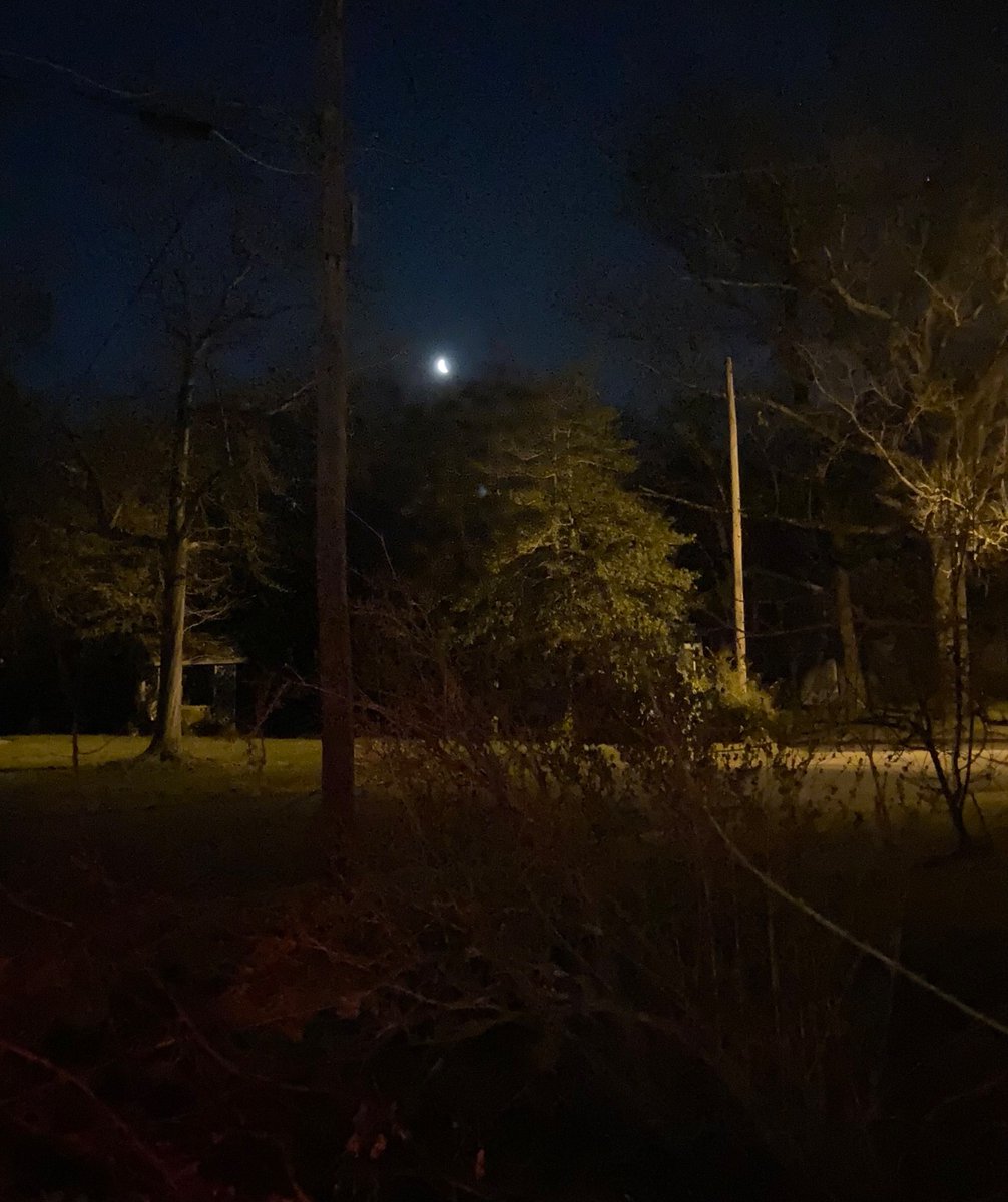 🌲 ⛄️Joe Sapia ⛄️ 🛷 tweet media