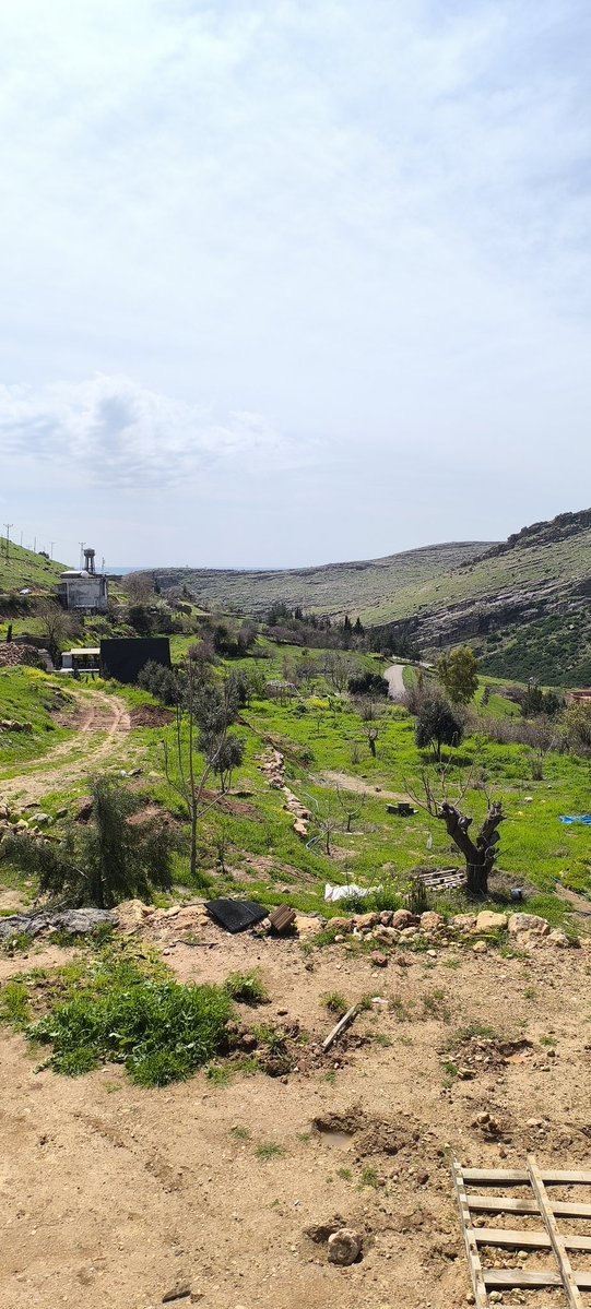 محمد امین tweet media