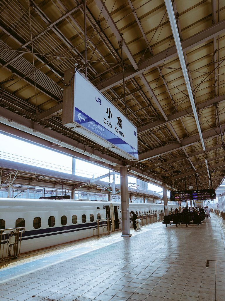 丸田悠太 / Yuta Maruta tweet media