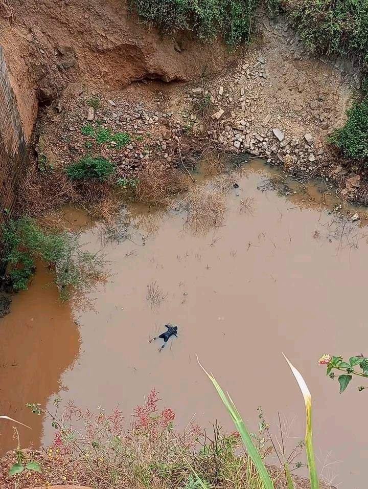 Wamutahi tweet media