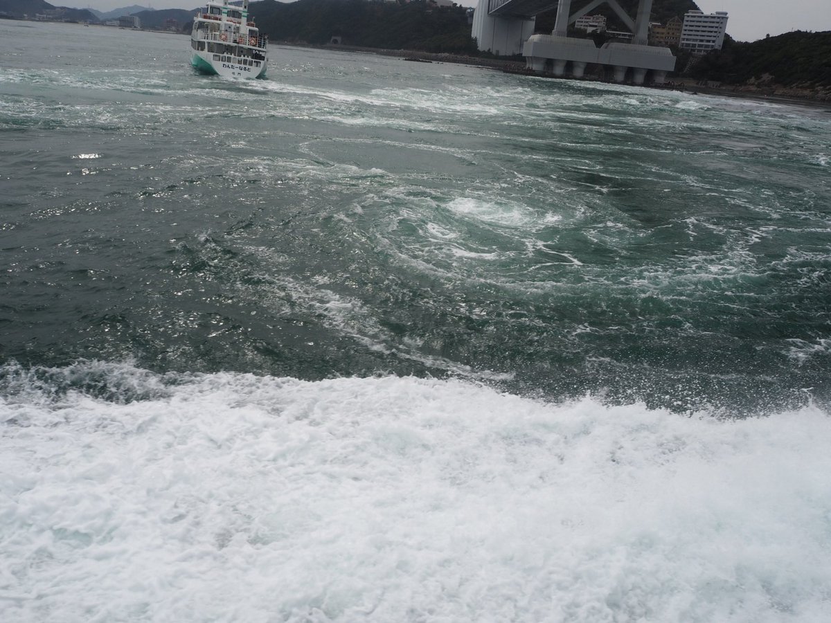 だんごむし tweet media