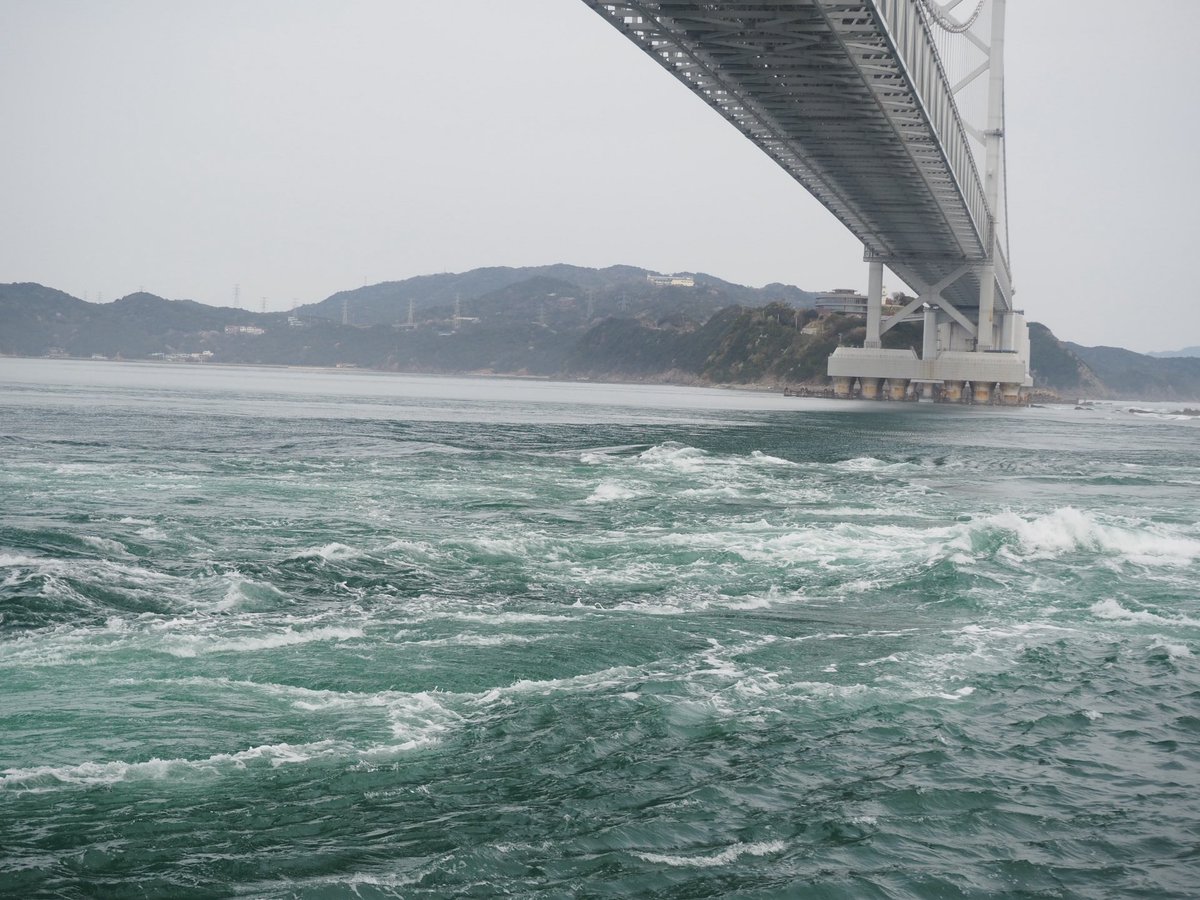 だんごむし tweet media