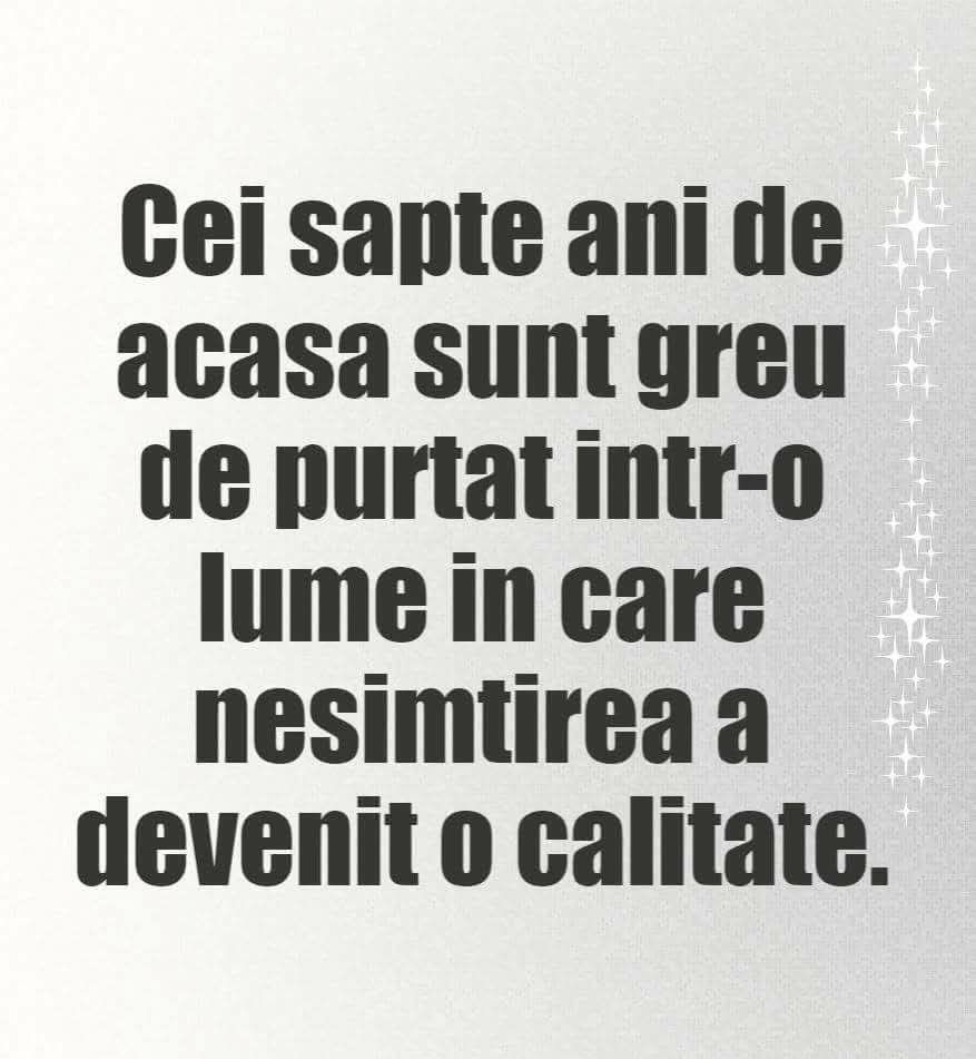 Mircea Ștefan tweet media